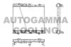 AUTOGAMMA 105876 Radiator, engine cooling